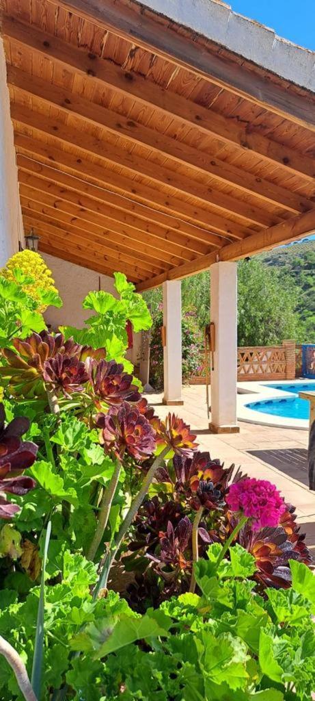 Peace And Tranquility At Montana Retreat Álora Quarto foto